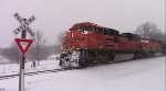 BNSF coal train